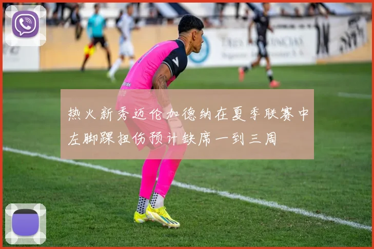 热火新秀迈伦加德纳在夏季联赛中左脚踝扭伤预计缺席一到三周
