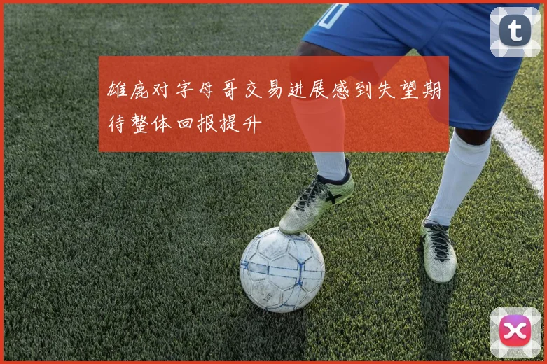 雄鹿对字母哥交易进展感到失望期待整体回报提升